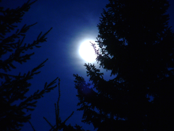 Photography by myopicglimpse for DesignCrowd (Community Contests) | Design #9056655