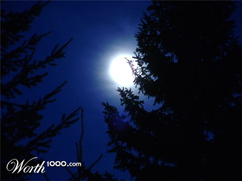 Photography by myopicglimpse