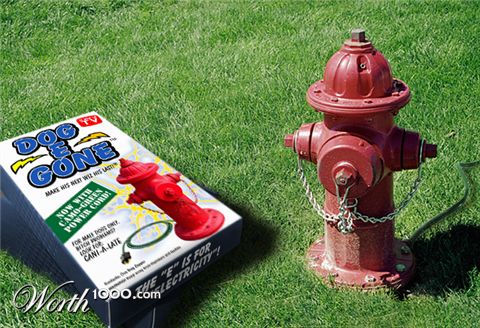 Photoshop Design by rspence