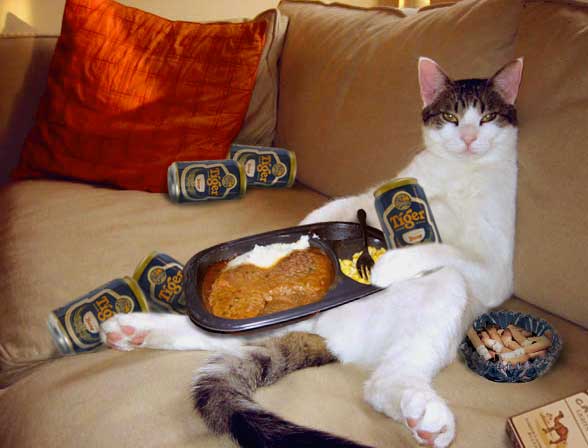 Design Photoshop par WizFromOz pour DesignCrowd (Community Contests) | Design #9050272