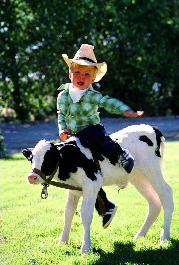 Photography by dasteveco for DesignCrowd (Community Contests) | Design #9067756