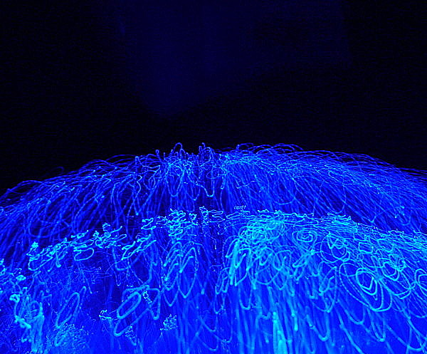 Photography by musicalnursynurse for DesignCrowd (Community Contests) | Design #9056694