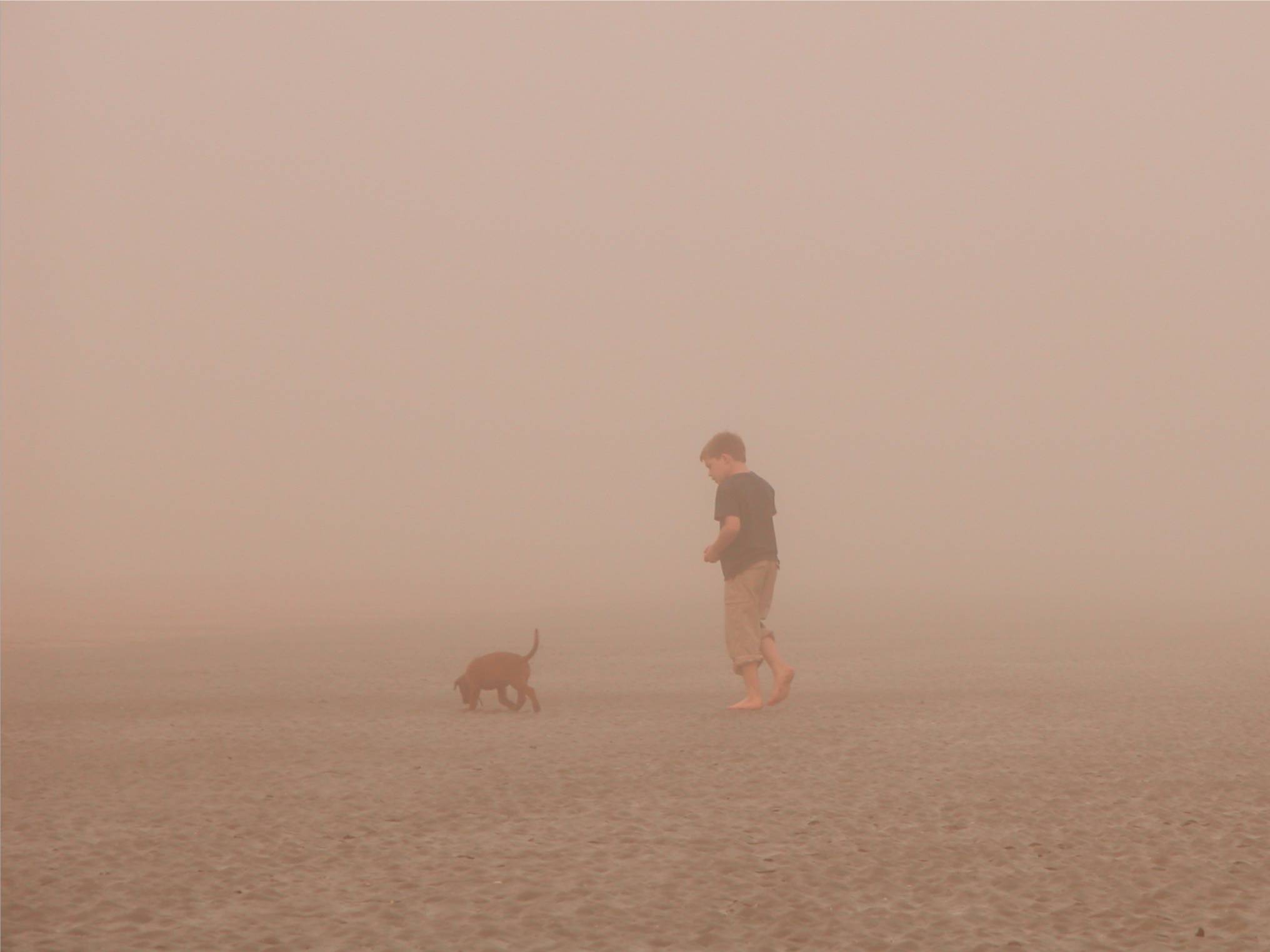 Photography by moxieshark for DesignCrowd (Community Contests) | Design #9067705