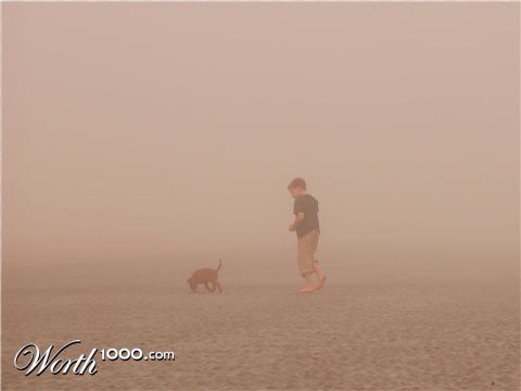 Photography by moxieshark