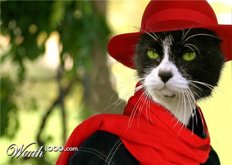 Photoshop Design by EyEars