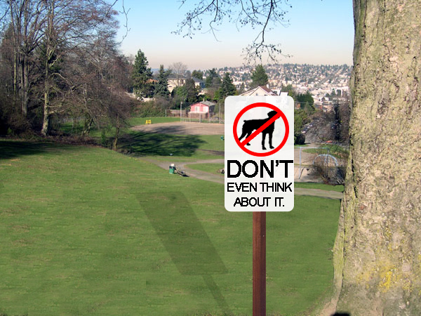 Diseño de Photoshop por pyanista para DesignCrowd (Community Contests) | Diseño #9050266