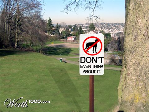 Photoshop Design by pyanista