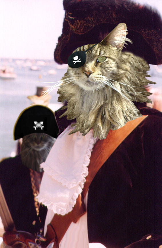 Photoshop-Design von B03RR3 für DesignCrowd (Community Contests) | Design #9050297