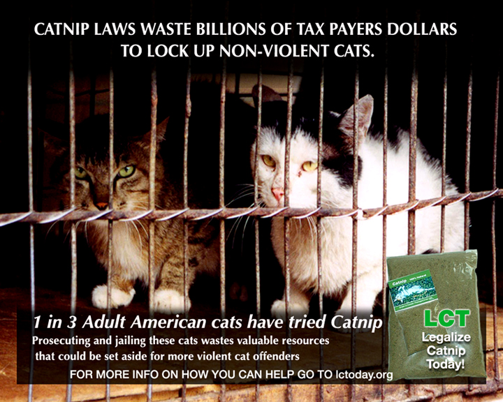 Photoshop-Design von corwin1 für DesignCrowd (Community Contests) | Design #9050239