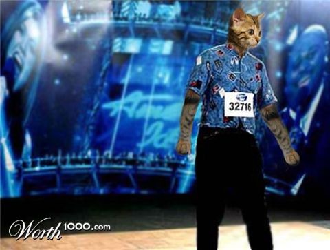 Photoshop Design by BethanyMarie