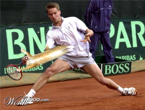 Photoshop Design by BethanyMarie