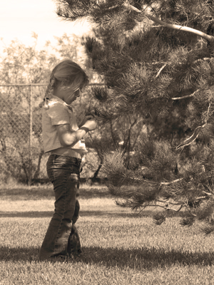 Photography by SpeakingOfAmethyst for DesignCrowd (Community Contests) | Design #9067741