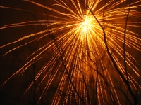 Photography by LoLIpOP for DesignCrowd (Community Contests) | Design #9048581