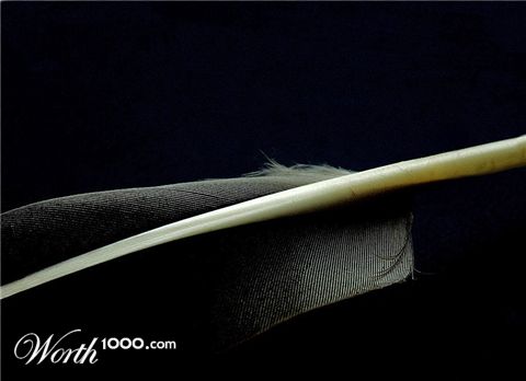 Photography by ruxa2na