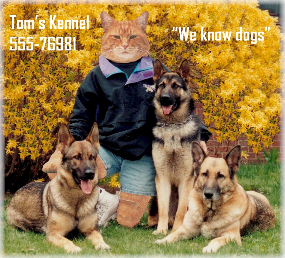 Photoshop Design by cstoel for DesignCrowd (Community Contests) | Design #9050412