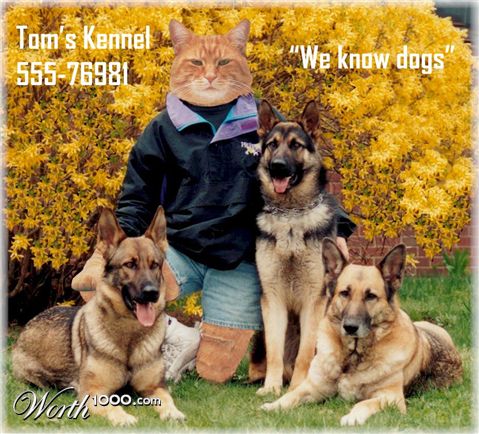 Photoshop Design by cstoel