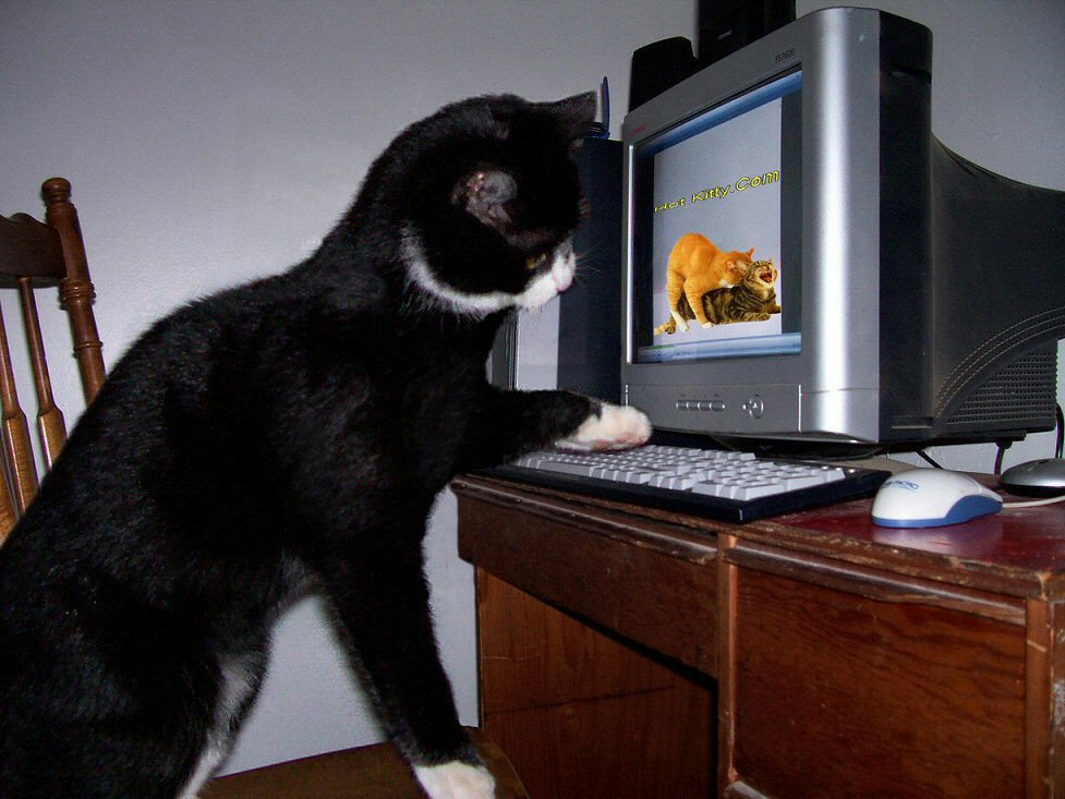 Design Photoshop par cricket1 pour DesignCrowd (Community Contests) | Design #9050320