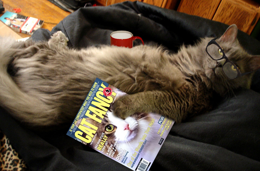 Photoshop Design by Spacejunk for DesignCrowd (Community Contests) | Design #9050354