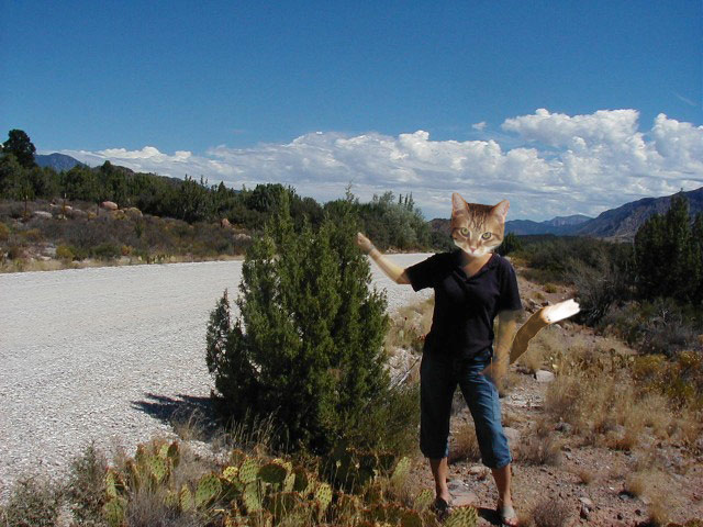 Photoshop Design by kevinc87 for DesignCrowd (Community Contests) | Design #9050430