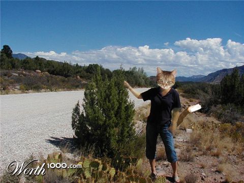 Photoshop design by kevinc87 for DesignCrowd (Community Contests)