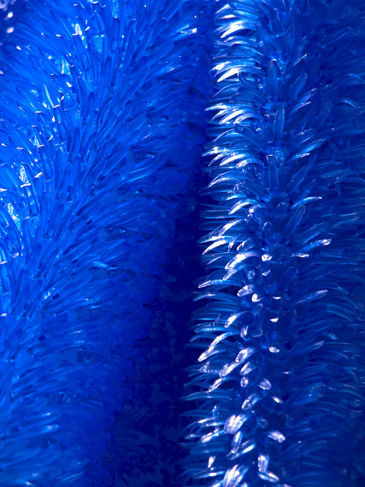 Photography by georgethedog for DesignCrowd (Community Contests) | Design #9056803