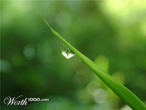 Photoshop Design by JClark8220