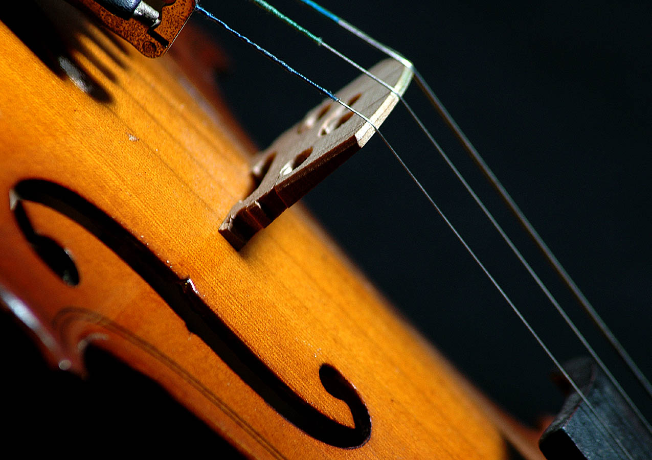 Photography by Ronbrandt for DesignCrowd (Community Contests) | Design #9048447