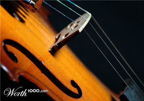 Photography by Ronbrandt