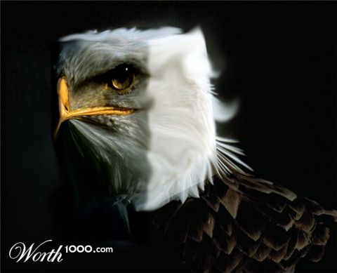 Photoshop Design by ArtRa
