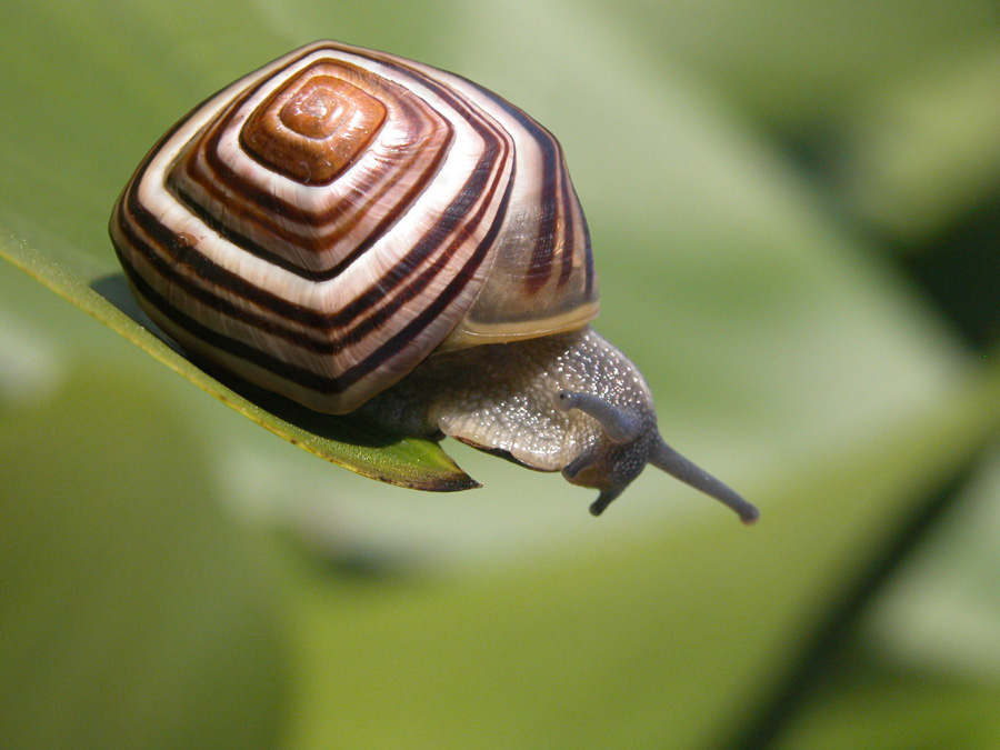 Photoshop Design by rainyseason for DesignCrowd (Community Contests) | Design #9056687