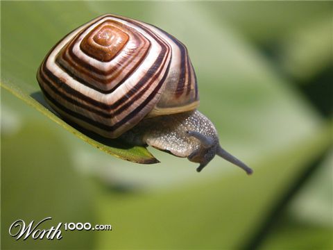 Photoshop Design by rainyseason