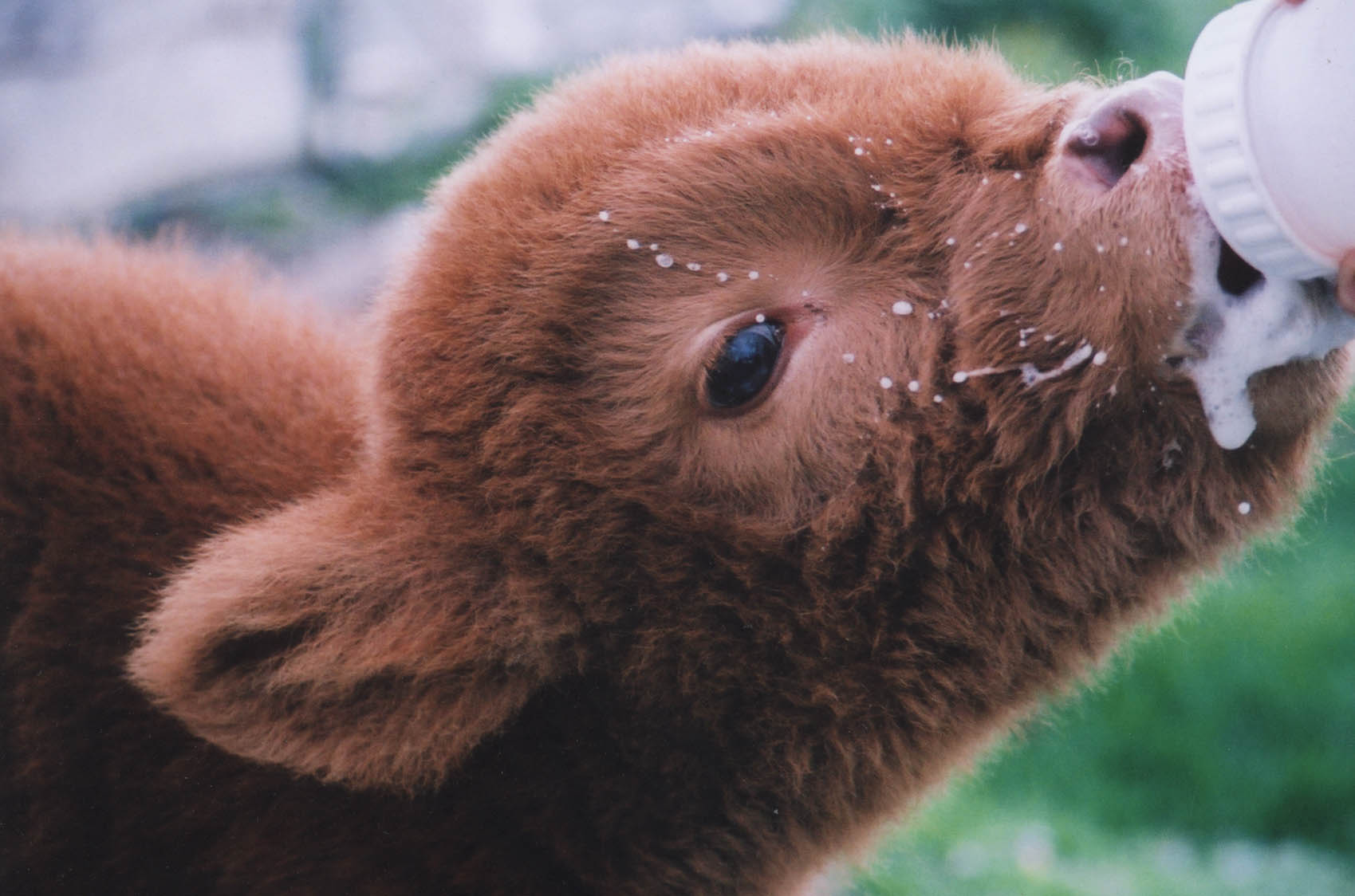 Photography by jcorkermullins for DesignCrowd (Community Contests) | Design #9048041