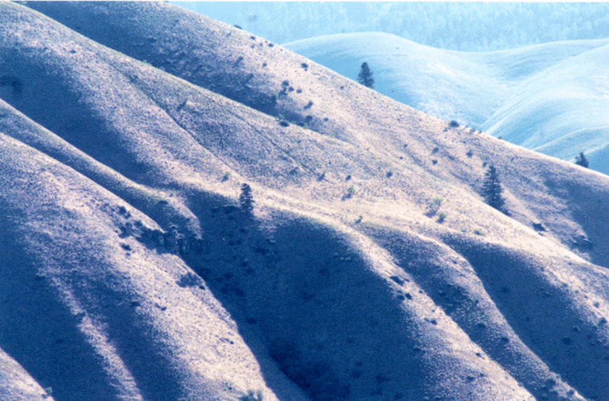 Photographie par bevissimo pour DesignCrowd (Community Contests) | Design #9056792