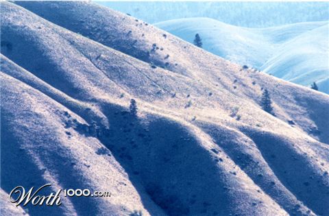 Photography by bevissimo