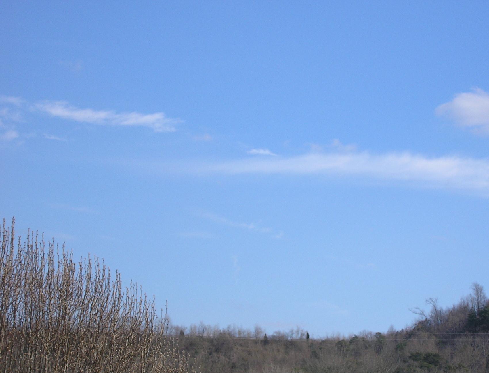 Fotografie von shellss11 für DesignCrowd (Community Contests) | Design #9056769