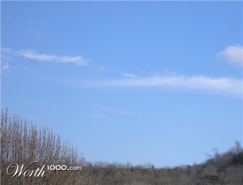 Photography by shellss11