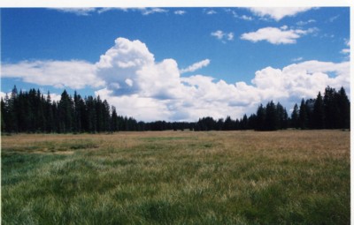 Fotografía por padoopie para DesignCrowd (Community Contests) | Diseño #9056777