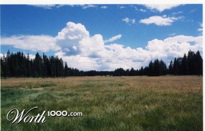 Photography by padoopie