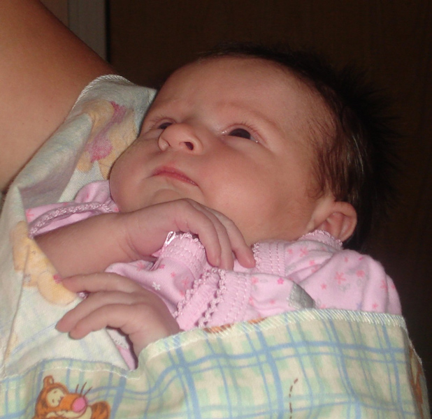 Photography by Wingnut for DesignCrowd (Community Contests) | Design #9067771