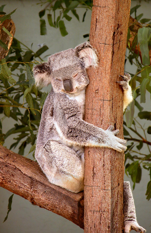 Diseño de Photoshop por DestinationCreation para DesignCrowd (Community Contests) | Diseño #9056696