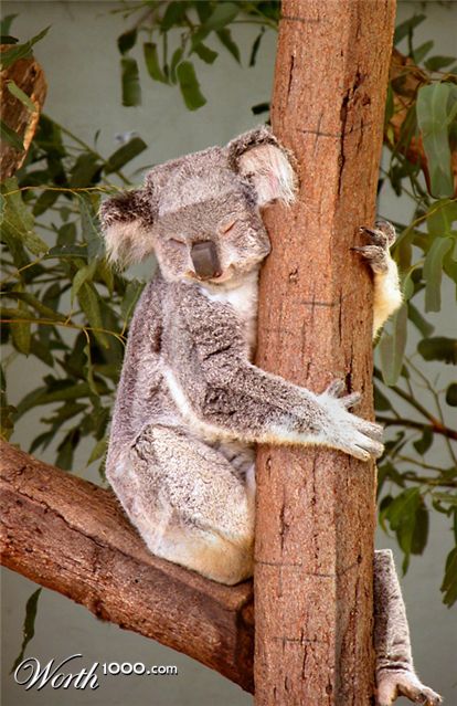 Photoshop Design by DestinationCreation