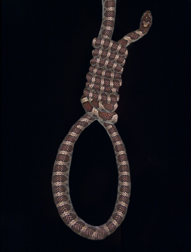 Photoshop Design by Biancalois for DesignCrowd (Community Contests) | Design #9062475