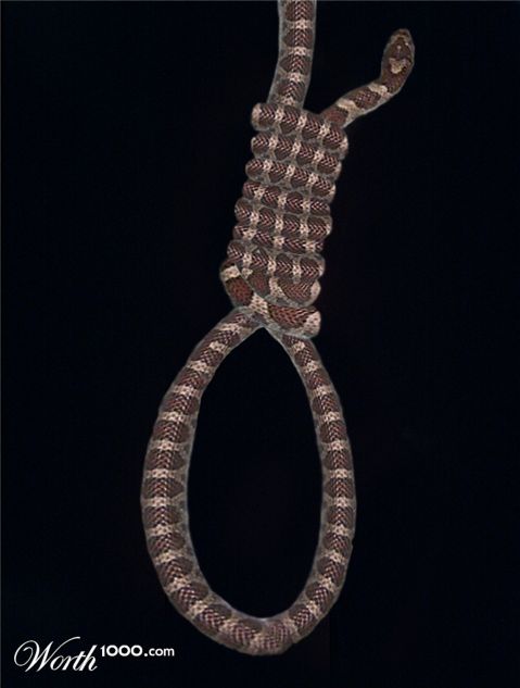 Photoshop Design by Biancalois