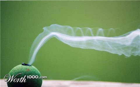 Photography by padoopie