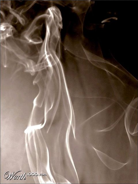 Photography by Isabella2006