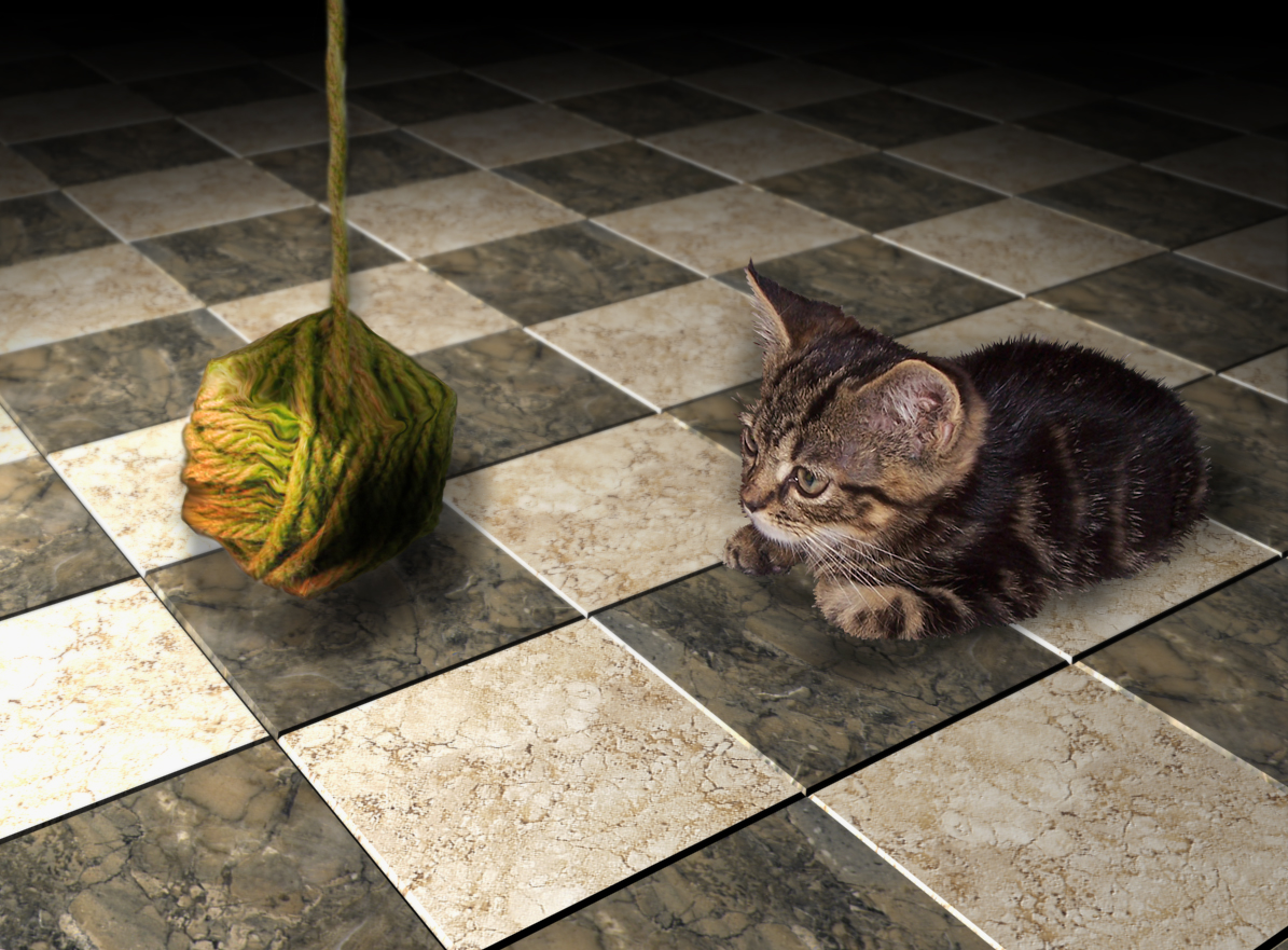 Photoshop Design by Focusedpain for DesignCrowd (Community Contests) | Design #9057004