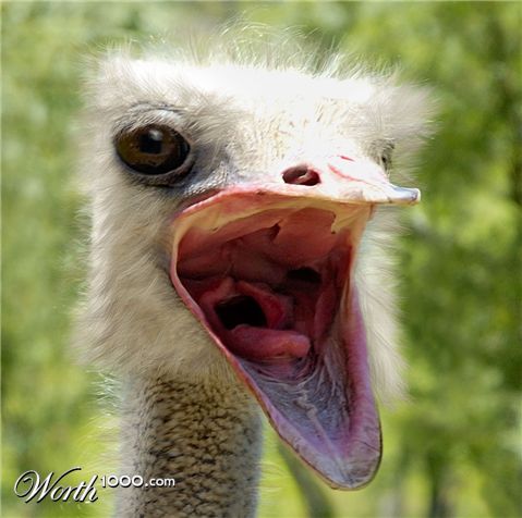 Photoshop Design by e30338