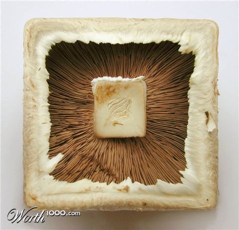 Photoshop Design by SpeedofDark