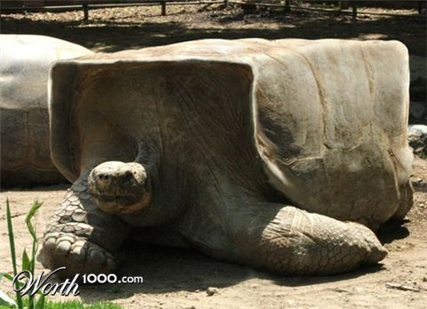 Photoshop Design by theRtist