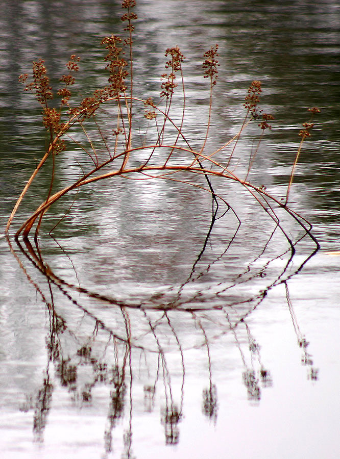 Photography by rdchdwck for DesignCrowd (Community Contests) | Design #9055687